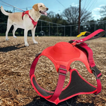 Lade das Bild in den Galerie-Viewer, Flexi Pro –  mit integrierter Leine
