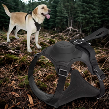 Lade das Bild in den Galerie-Viewer, Flexi Pro –  mit integrierter Leine
