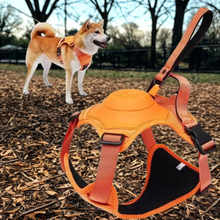 Lade das Bild in den Galerie-Viewer, Flexi Pro –  mit integrierter Leine
